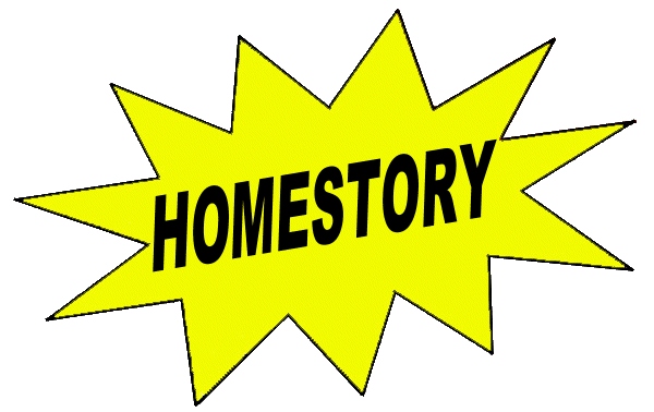 HomestoryStern8.gif (40305 Byte)